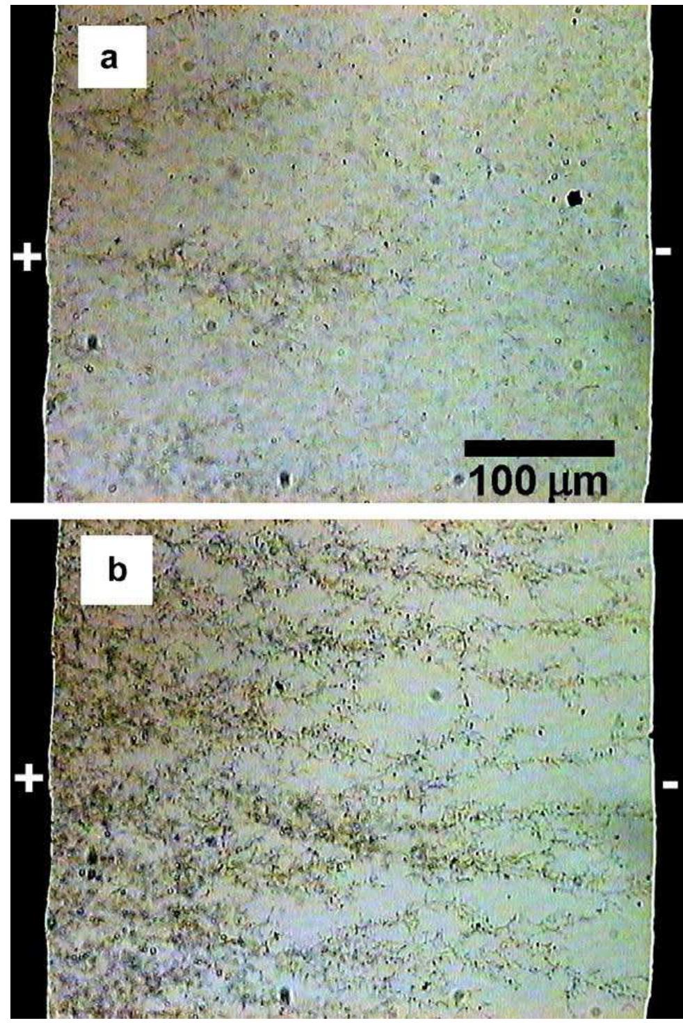 (PDF) A review and analysis of electrical percolation in carbon ...
