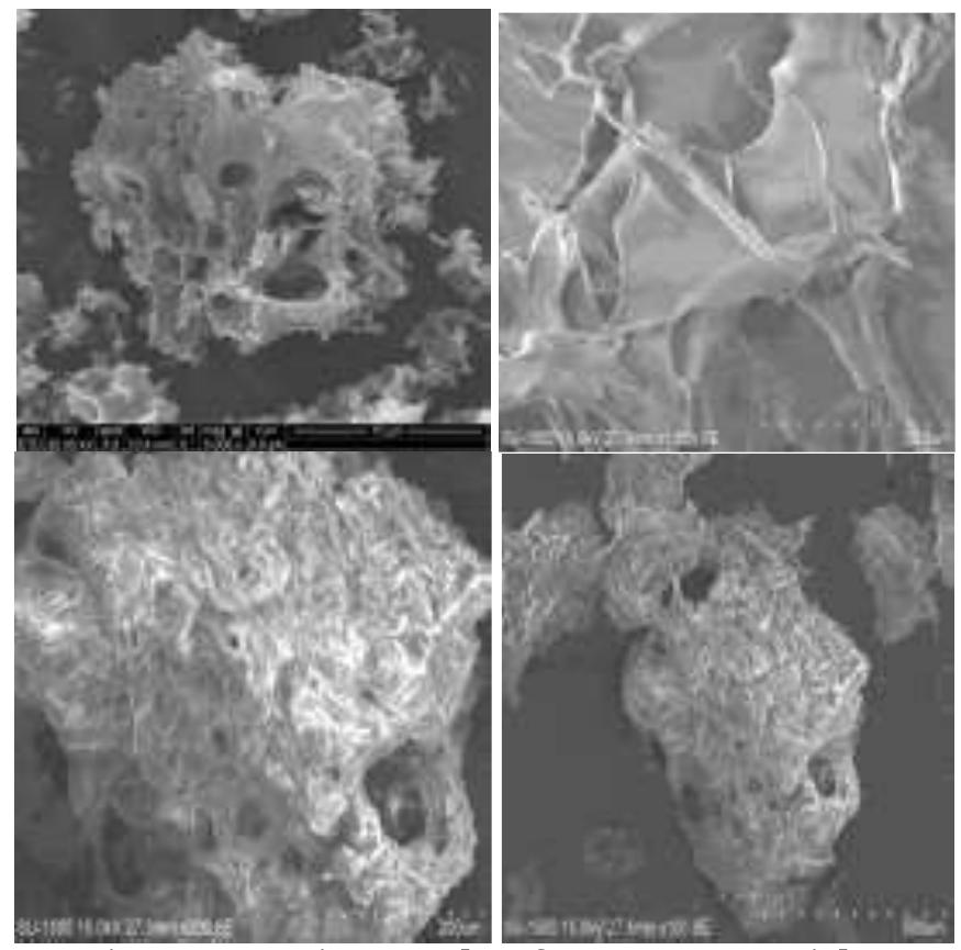The size and morphology of the zro2 nanoparticles have been