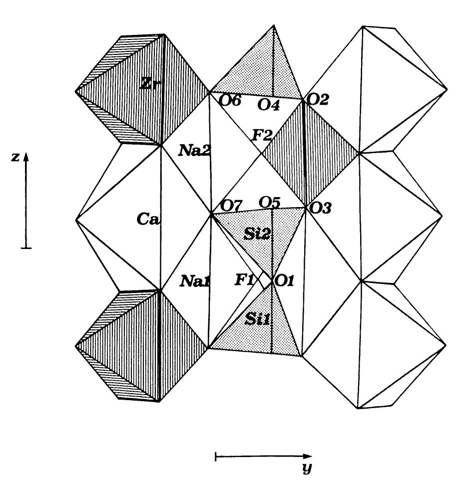 Fig. 2. Drawing of the crystal structure of burpalite, as seen along [100] : the structural slab between x ~ 0 and x ~ 1/2 is represented.  Burpalite, a new mineral from USSR  Diorthosilicate groups  present alternation of large octahedra, with Si,07 groups grasped on both sides, and small naked octahedra, but, in contrast to lavenite, the large octahedra in the outer columns are at different levels, approximately c/2 apart along [001]. The distribution of cations in the octahe- dral walls and the linking of disilicate groups to the walls are in keeping with the general rules discussed by Merlino & Perchiazzi (1988). 