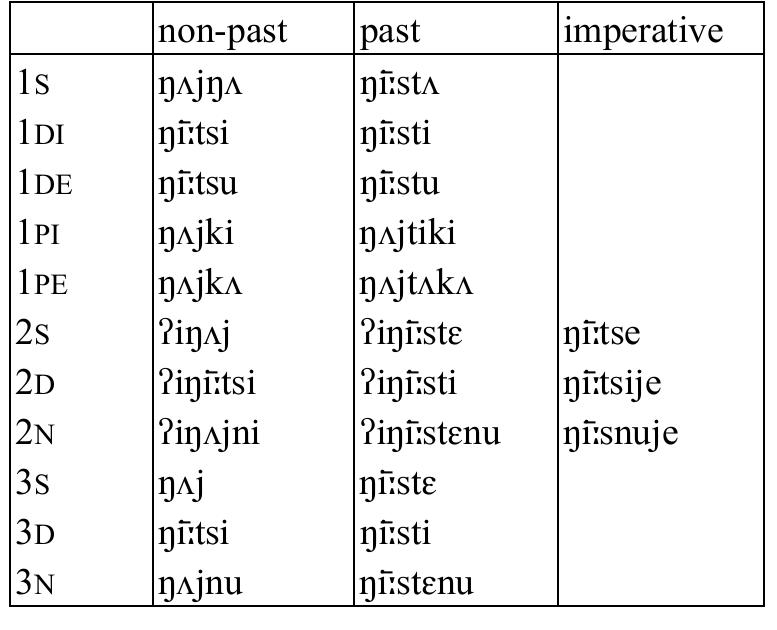 Table 54: Intransitive verb yin ‘be afraid’   Table 55: Intransitive verb biy ‘look nice’  