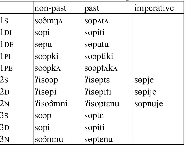 Table 72: Intransitive verb jot ‘look like’  