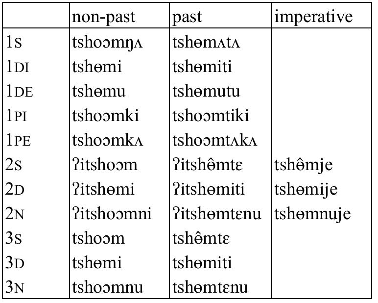 Table 74: Intransitive verb tshom ‘dance’  