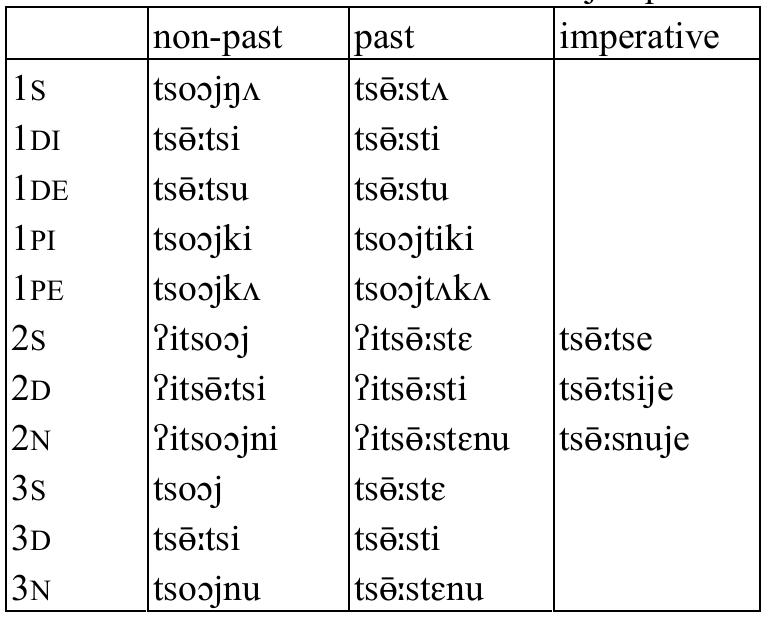 Table 75: Intransitive verb tson ‘jump’  