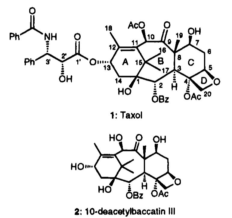 Figure 1 - from Total Synthesis of Taxol. 1. Retrosynthesis,
