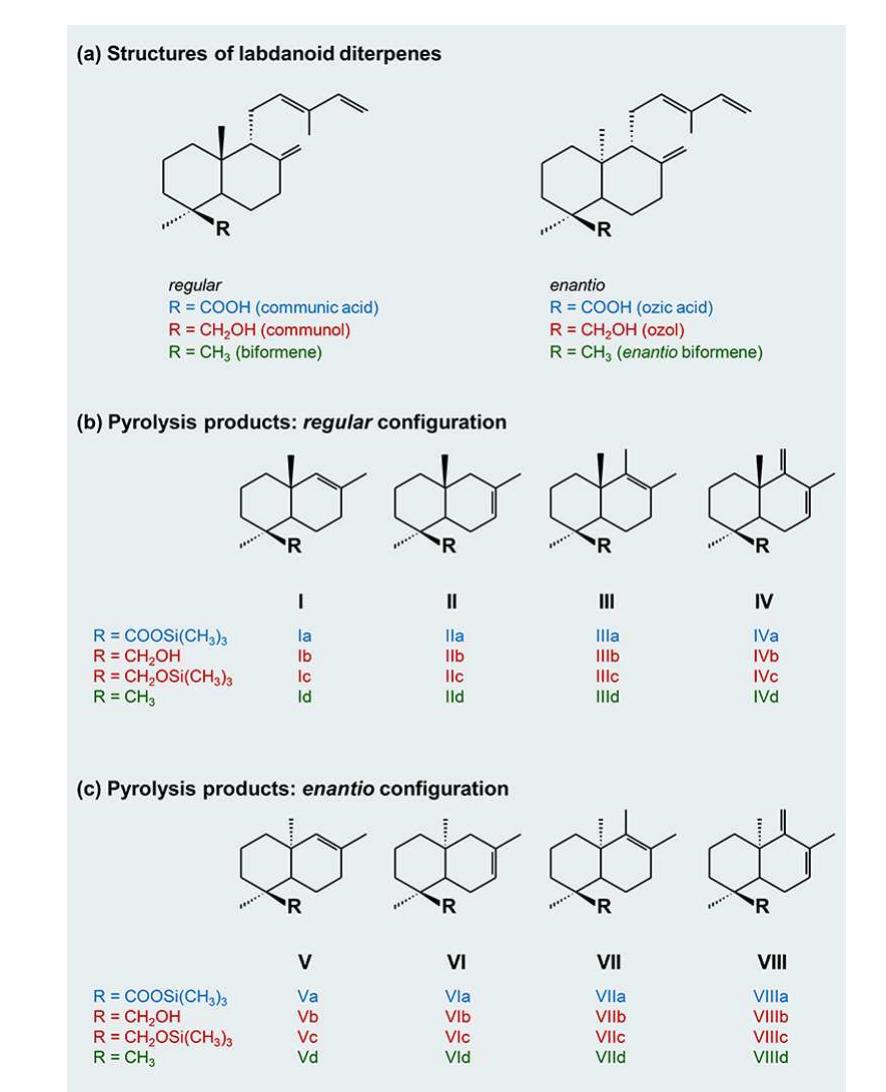 Method Repeatability. To determine the repeatability, the pyrolysis methodology described above was carried out with five subsamples of homogeneously ground Class Ia resinite. All of the communol pyrolysate monomers, monosuccinate esters, and disuccinate esters were detected in each subsample. The relative standard deviations (RSD) of the integrated peak area of a representative communol pyrolysate monomer, monoester, and diester were calculated. The RSD of the communol pyrolysate monomer was approximately 5%, while the less abundant monoester and diester pyrolysates were 15% and 20%, respectively.  Figure 1. (a) Molecular structures of the regular and enantio labdanoid configurations found in Class I resinites. (b) Molecular structures of compounds with a regular configuration formed through Py(HMDS)-GC—MS. (c) Molecular structures of compounds with an enantio configuration formed through Py(HMDS)-GC-—MS. The  structures and labels refer to compounds listed in Figures 2—8 and Table 1. 