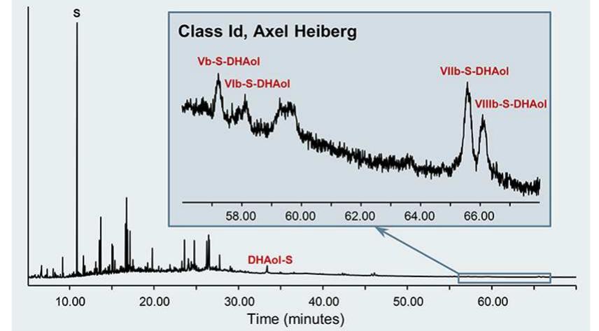 Figure 7. Chromatograms of Class Id Axel Heiberg resinite with expansion of the segment between 56 and 68 min to show peaks of the  esterification of dehydroabietyl succinate with ozol pyrolysates Vb— VIIIb. The labeled peaks correspond to molecular structures described  in Figure 8 and mass spectra listed in Table 1. 