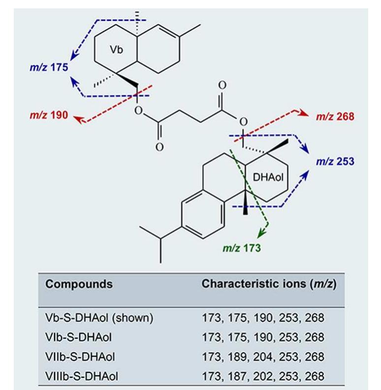 Figure 8. Key fragmentations and resulting ions of the dehydroabietyl ozyl succinate compounds for the Class Id resinite.  The regular counterparts to these dehydrobietyl succinate compounds were not detected in the Class Ia resinite sample. This is likely due to the relatively greater abundance of ozol and dehydroabietol units within the macromolecular structure of the Class Id resinite. The identification of the peaks is tentative as the molecular ions (m/z 576, 576, 590, and 588) are not present in the mass spectra. However, the peaks contain characteristic fragment ions present in previously described Vb—VIIIb compounds, in addition to fragments that are characteristic of dehydroabietol. In the mass spectra, two main ion fragments are formed from the dehydrobietyl group following reaction pathways that include the loss of the methy] group at the junction of the A/B rings, dehydrogenation and cleavage of the C—O bond at the succinate group, yielding the m/z 268 and 253 ions, respectively (Figure 8).* A third  