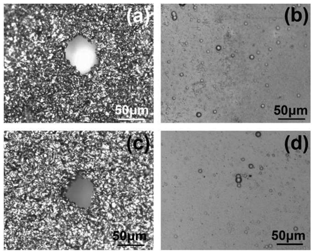 Perseidspull Test Mc Morphology of specimens after potentiodynamic tests in 3.5