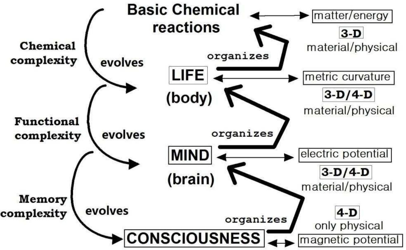 As normal darwinian evolution developed a complex enough