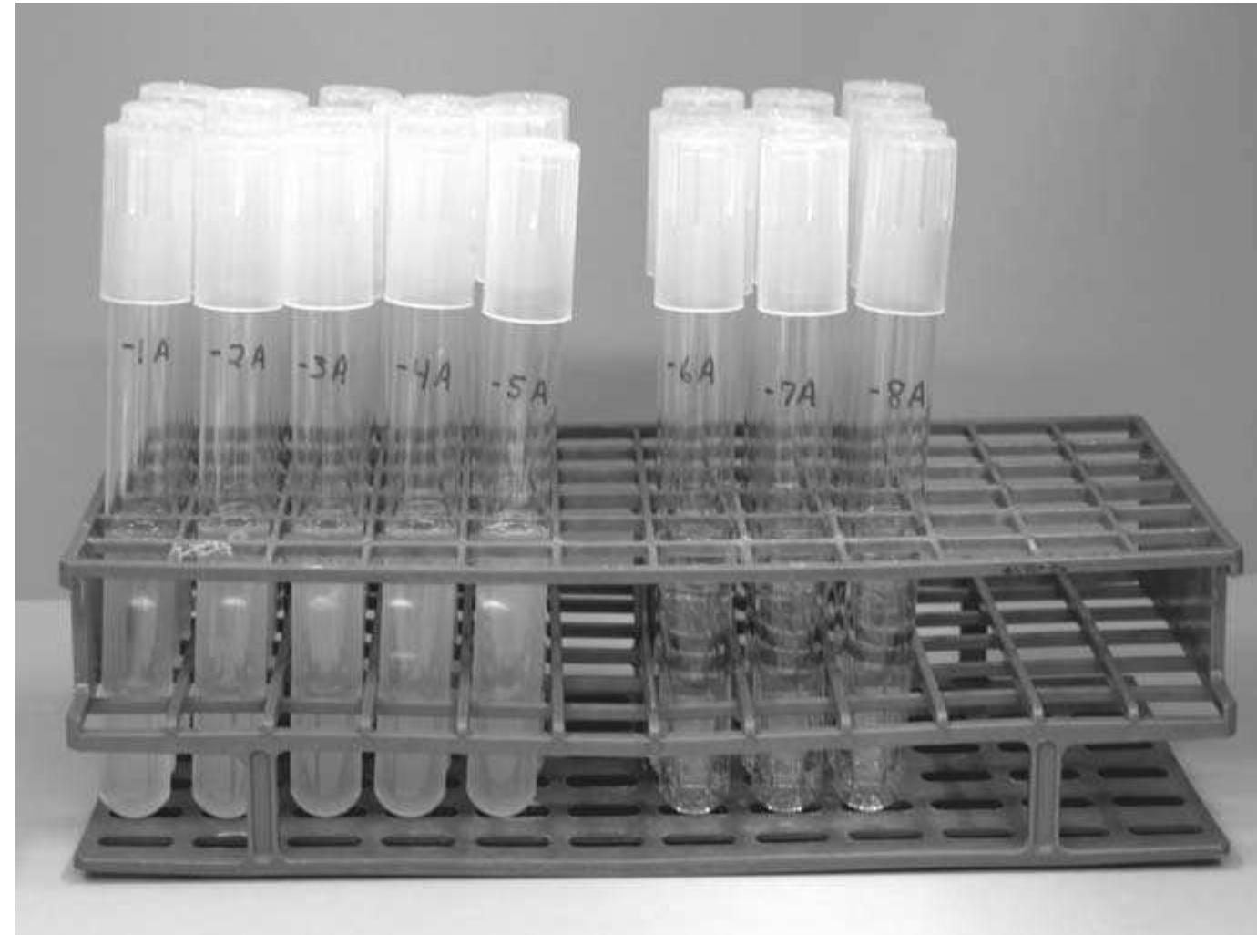 Tryptose -1 comparison of pcr and cultural methodology experiment