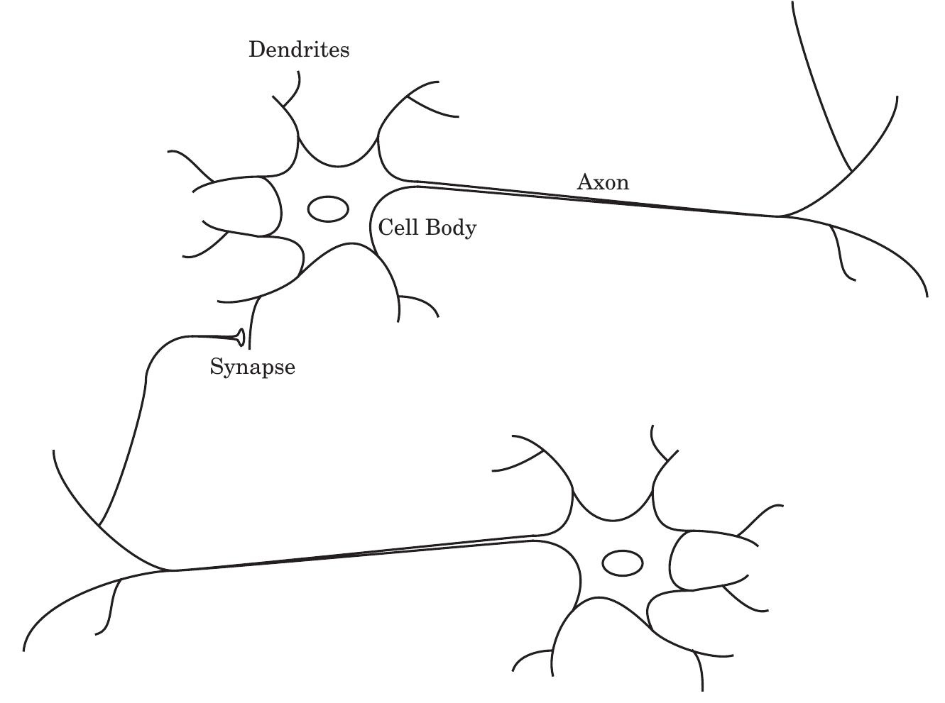 Figure 1 - from Objectives History Applications Biological