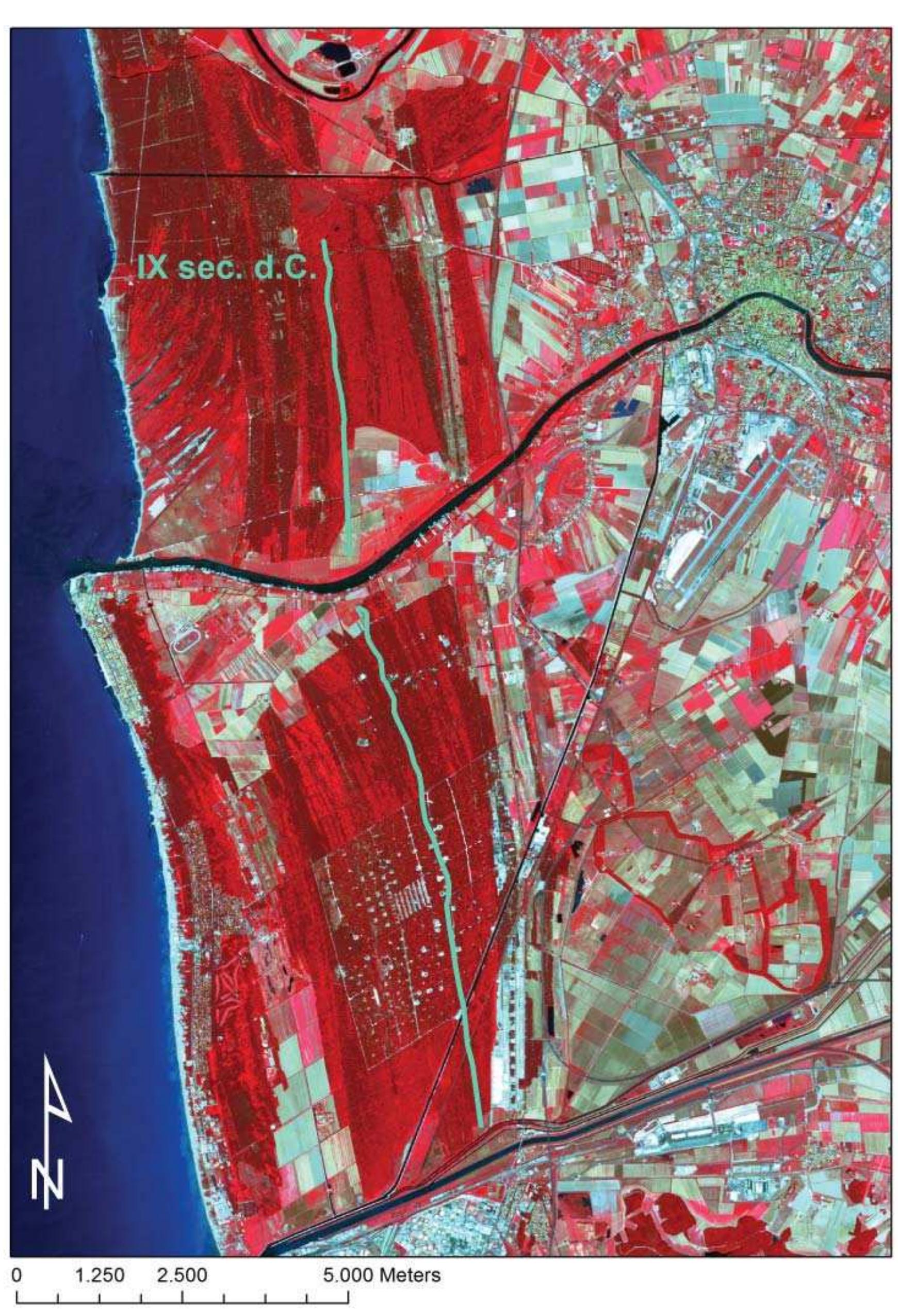Fig. 2.4 The assumed line (in blue) of the early medieval coast, which runs along the western border of the Cotone situated to the east of the Cotone delle Vacche, north of the Arno, and the western border of the Cotone Grosso, to the south, overlapping the satellite image in false colour. 