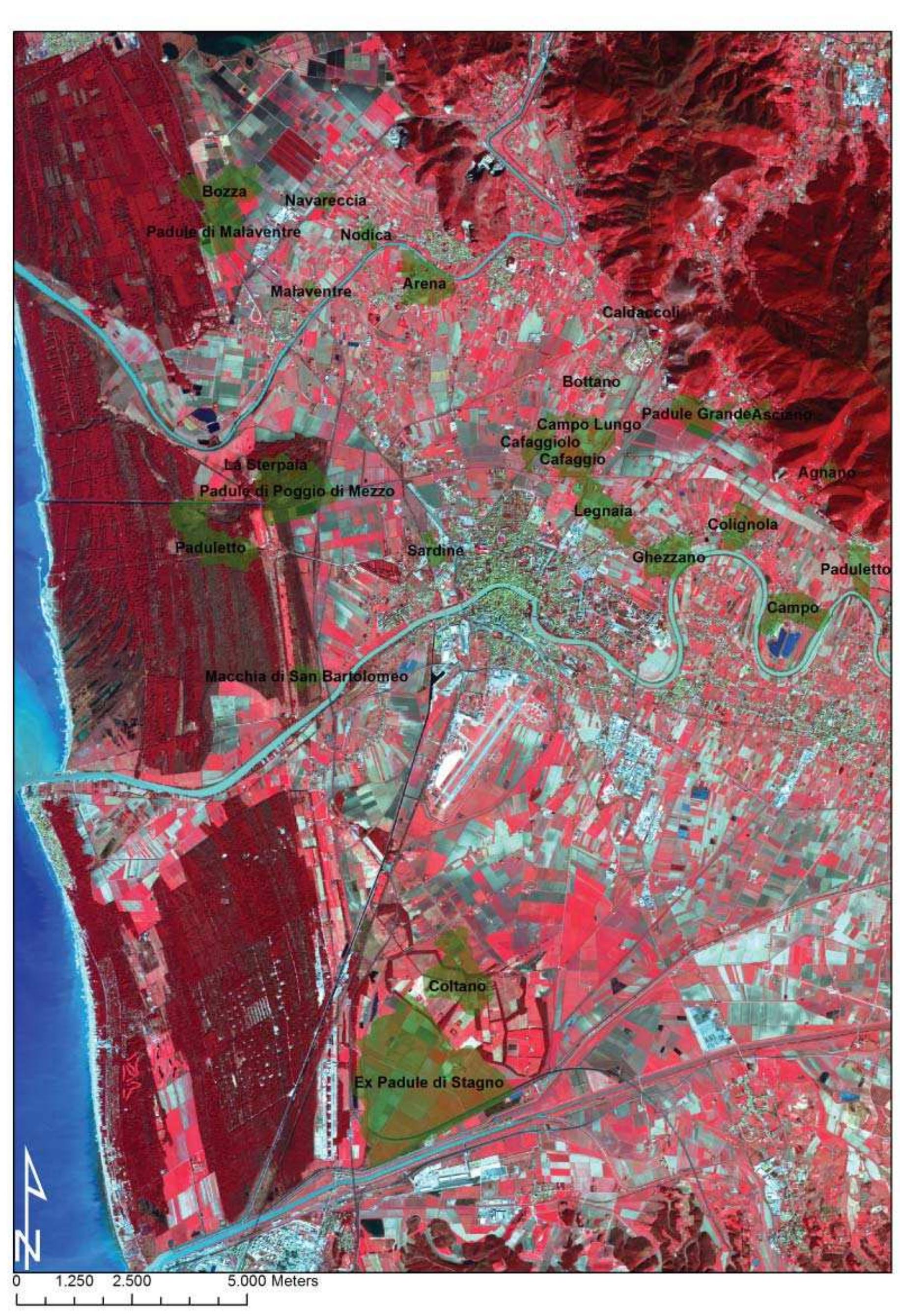 Fig. 2.16 The areas of the toponyms attributable to the presence of marshy areas. 