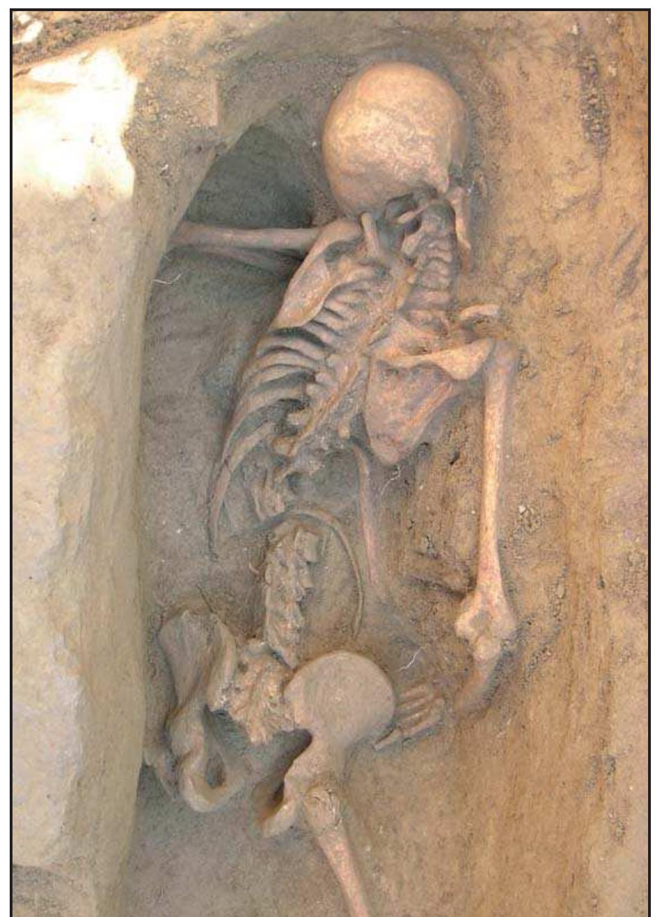 Fig. 3.41 Excavation of Palazzo Scotto. One of the ‘hurried’ burials, dating back to the second half of the XIV century. The lower left limb is missing due to a post-depositional removal.  of the domus as element of delimitation, as in the case of the large domus'! partially reoccupied, between the end of the V and first half of the V] century, which reduced the internal rooms and used beaten earth floors. Starting from the end of the VI-VII century, building techniques are simila1 to the previous period. Where the large Roman  century, which reduced the internal rooms and 