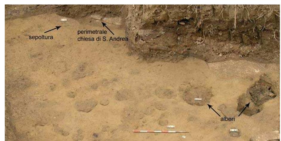 Fig. 3.70 Excavation of Palazzo Scotto. The image shows a portion of the vegetable garden area that rose to the north of the church of S.Andrea in Chinzica. Two large holes may be seen related to the presence of two small-sized trees as well as smaller holes connected to the presence of a small vegetable garden. The presence of an earth-pit burial made it possible to retrace this area to the orchard cemetery tradition. 