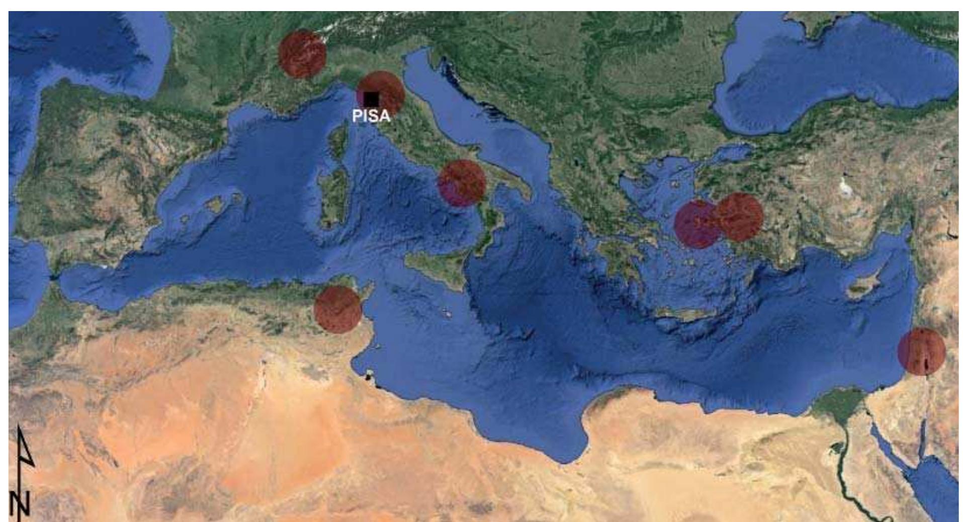 Fig. 3.73 The main Mediterranean areas of provenance of the pottery attested in Pisa between the VI and VIII century. 
