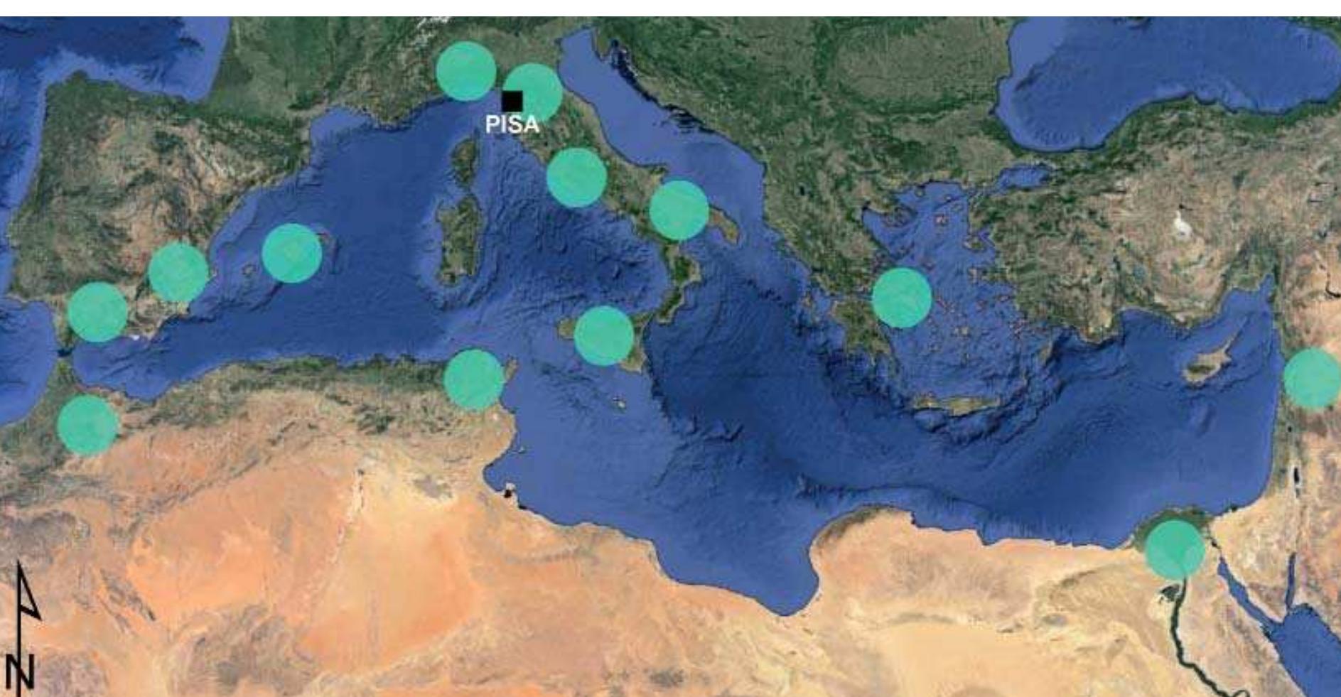 Fig. 3.75 The main Mediterranean areas of provenance of the pottery attested in Pisa between the second half of the XI and start of the XIII century, prior to the local production of Maiolica Arcaica. Of note, the arrival of ware from the Byzantine area during this period.  more suitable for new ways of cooking food. During the XII century imports from Tunisian, Spanish/ Moroccan, Egyptian/mid-eastern and Byzantine areas continued. Imports from Spanish centres sharply increased, especially from the area of Majorca and Andalusia, with numbers rising above Tunisian products*? (Bert 1997a; Giorcio 2013). From the second half - last quarter of the XII century, new pottery appeared on the scene: a real invasion of cobalt-manganese Tunisian products*’; products from the Spanish area of Murcia; materials from southern Italy, especially from Puglia** and Sicily*“; and, probably the  first slipped and lead-glazed ware from Savona, precursors of Graffita Arcaica ware. If relations with Sicily were already held during the previous centuries, of note are the relations held with the coasts of the southern Adriatic (fig. 3.75). Starting from the XIII century, the situation underwent  significant changes. From the second decade of his century, Pisa became a production centre of he fine tin-glazed and lead-glazed ware that it had previously had to import. It is probable, therefore, hat data related to the ceramic contexts of Pisa are  ess significant for understanding the commercial  dynamics of the XIII and XIV century, during  precursors of Graffita Arcaica ware. If relations 