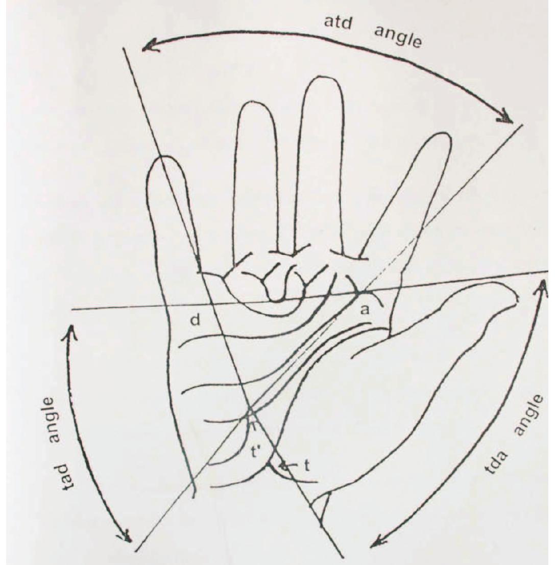 /fig-7]: showing the measurement of the angles in palm