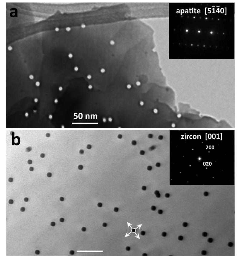 Tem Axis Conventional transverse cross-section tem images (under