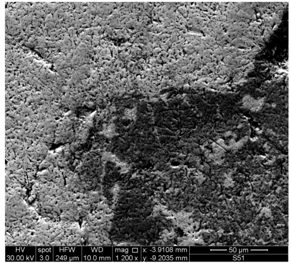 Sem micrograph (secondary electron scan) of the area within