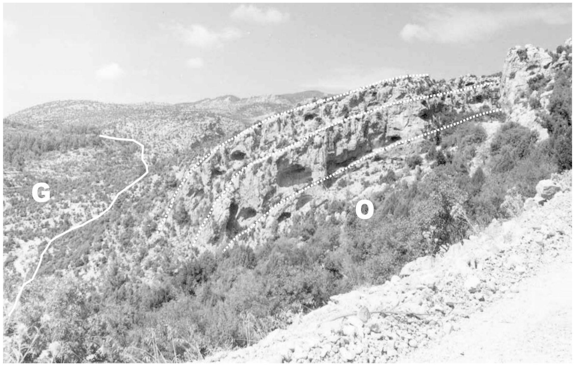Igure 10. field view of the basinward prograding