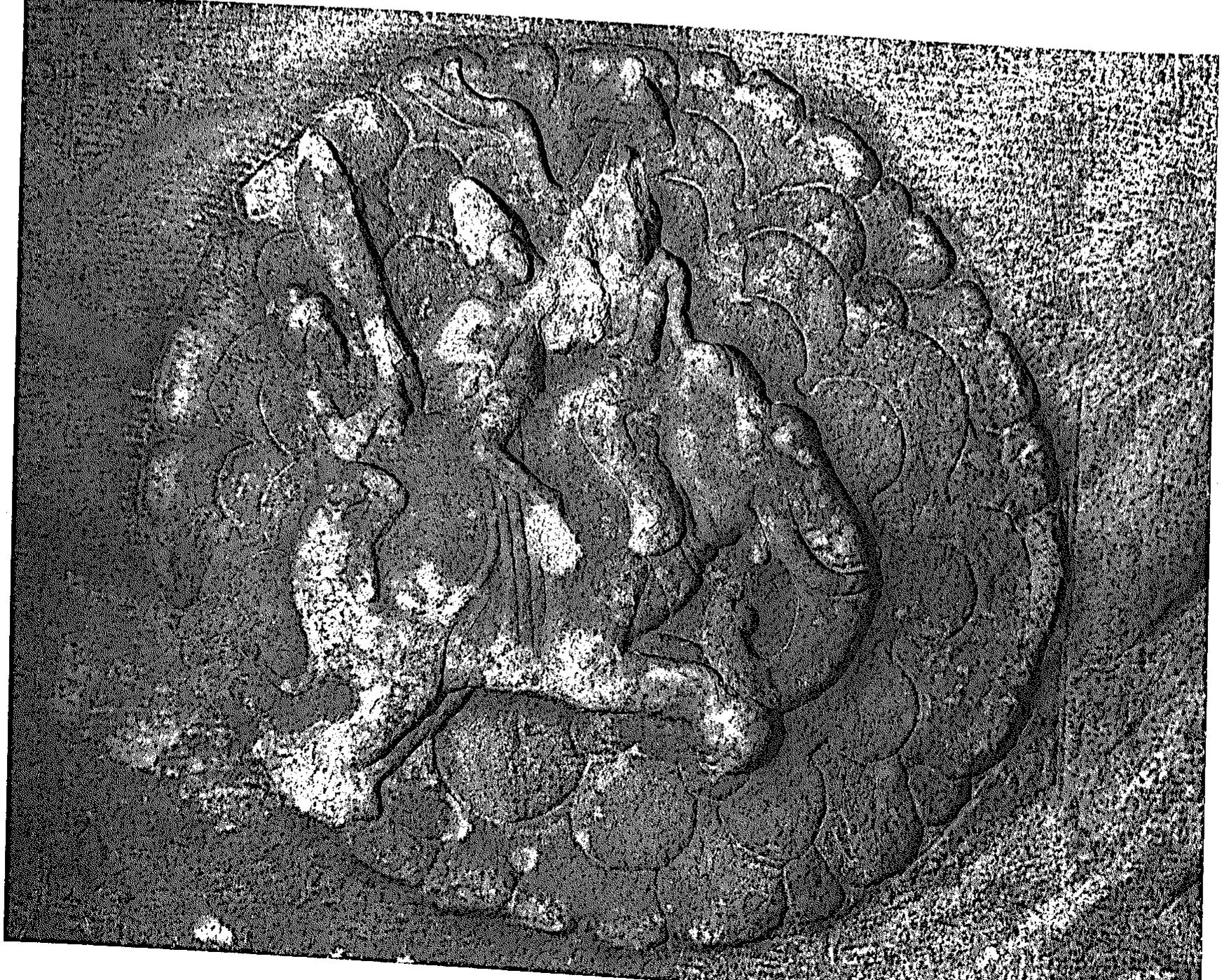 Mig. 15 Indra, Badimi, Cave 3, main hall, ceiling. 4p 579:  