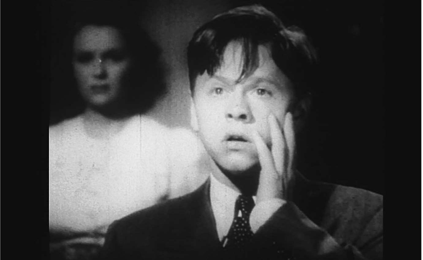 Figure 11.2 Father and Son locked in an icy gaze in Martin Arnold’s Alone. Life Wastes Andy Hardy (1998). 