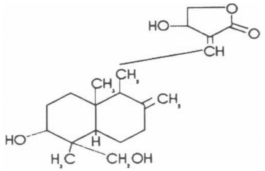 (PDF) A BRIEF OVERVIEW ON Andrographis paniculata (Burm. f) Nees., A ...