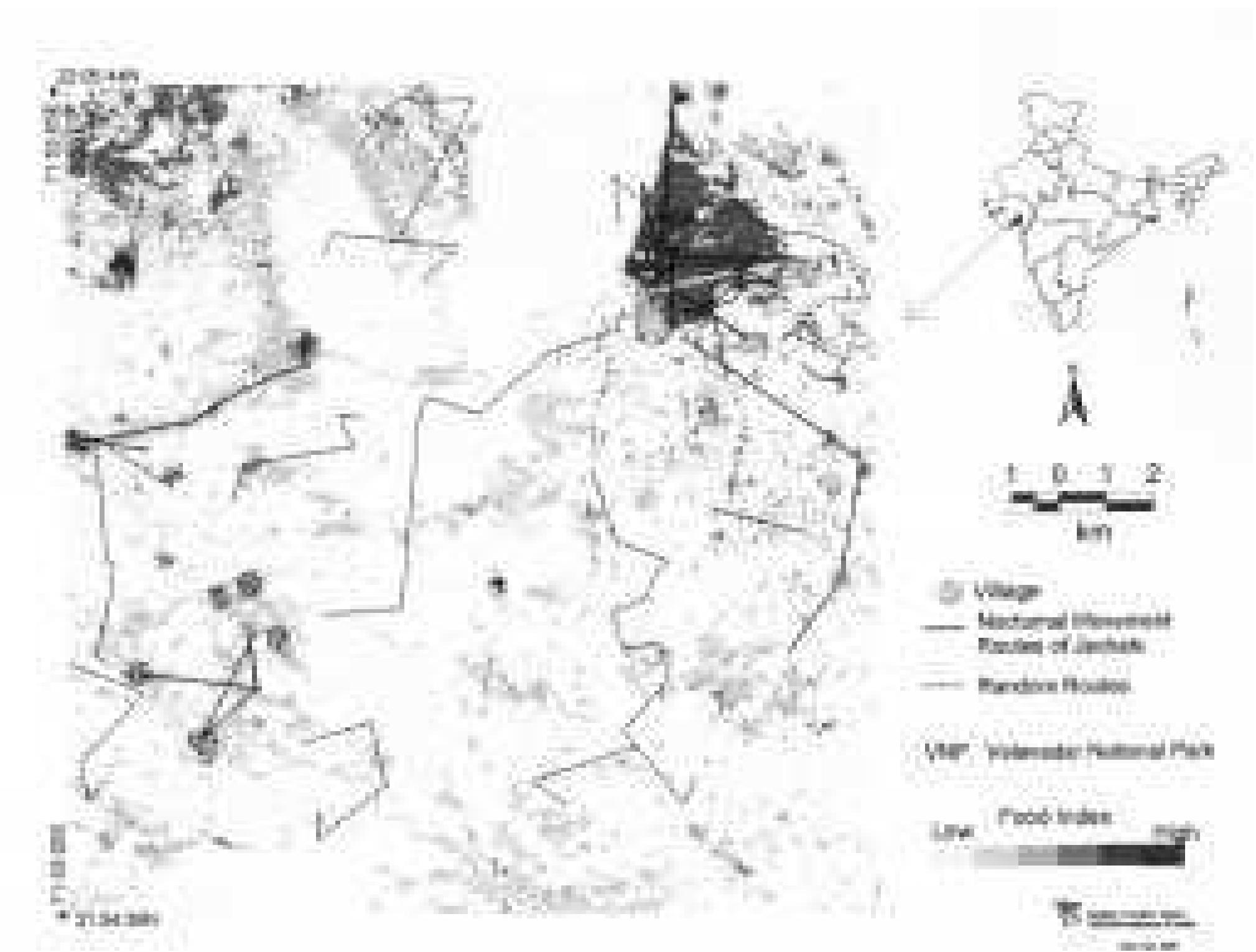 (PDF) Foraging and Habitat Use by Golden Jackals (Canis aureus) in the ...