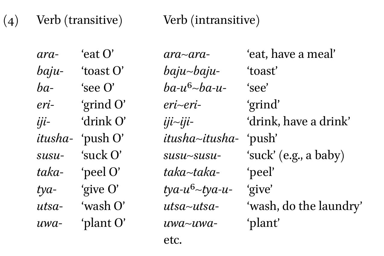 The second process (II) applies both to intransitive and transitive verbs. It derives a new verb which retains its original valency but becomes non- inflecting. The reduplicated verb can only be used in a complex predicate with a following generic auxiliary for carrying the verbal affixes. The meaning conveyed by this process is the multiple repetition of the event expressed by the verb. 