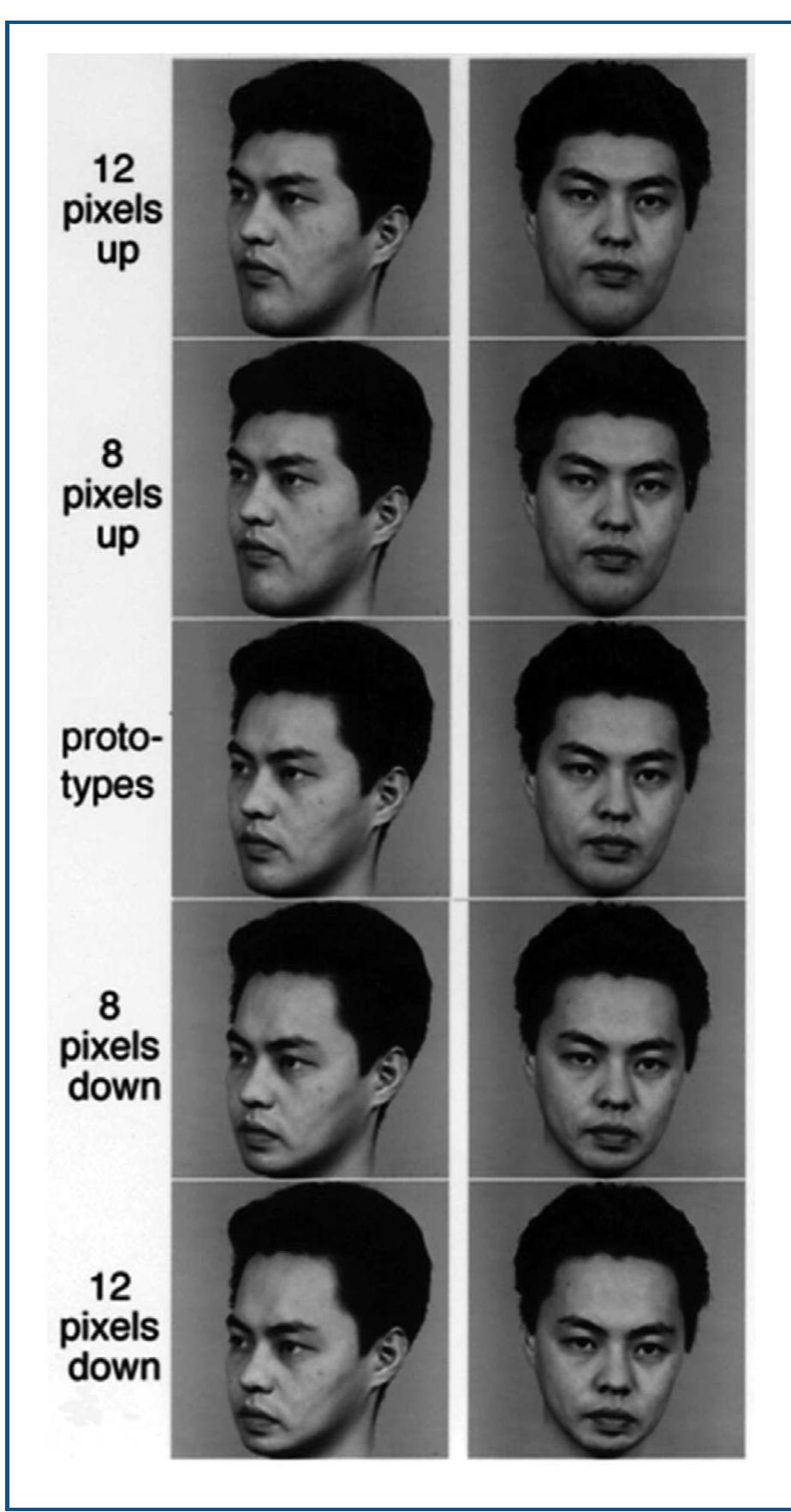 (PDF) 38 PERCEPTION Recognizing Patterns and Objects CHAPTER OUTLINE ...