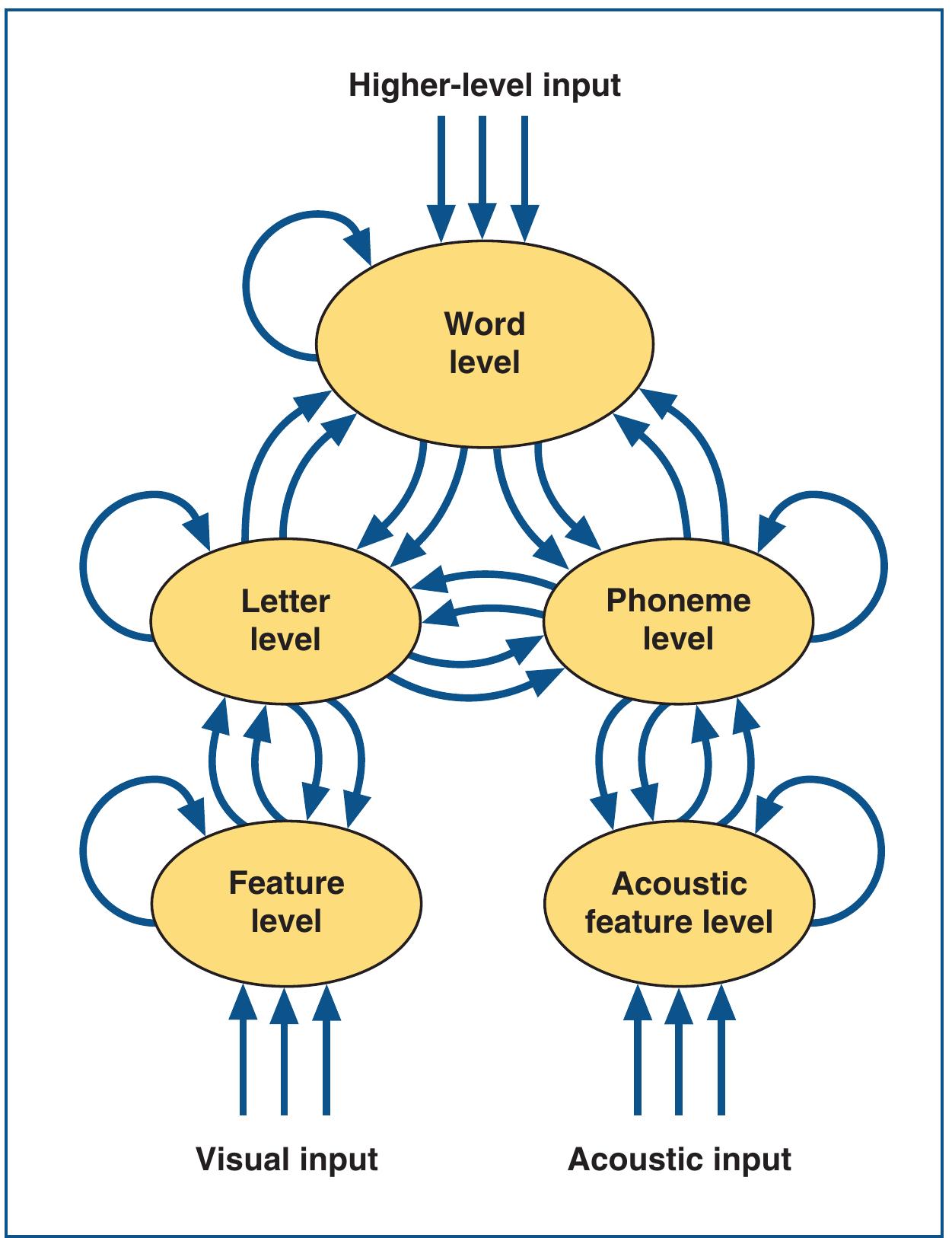 @ figure 3.20: mcclelland and rumelhart’s (1981) model of