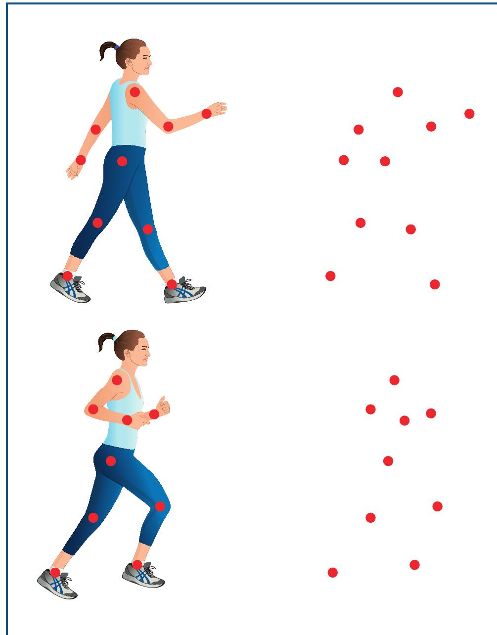 (PDF) 38 PERCEPTION Recognizing Patterns and Objects CHAPTER OUTLINE ...