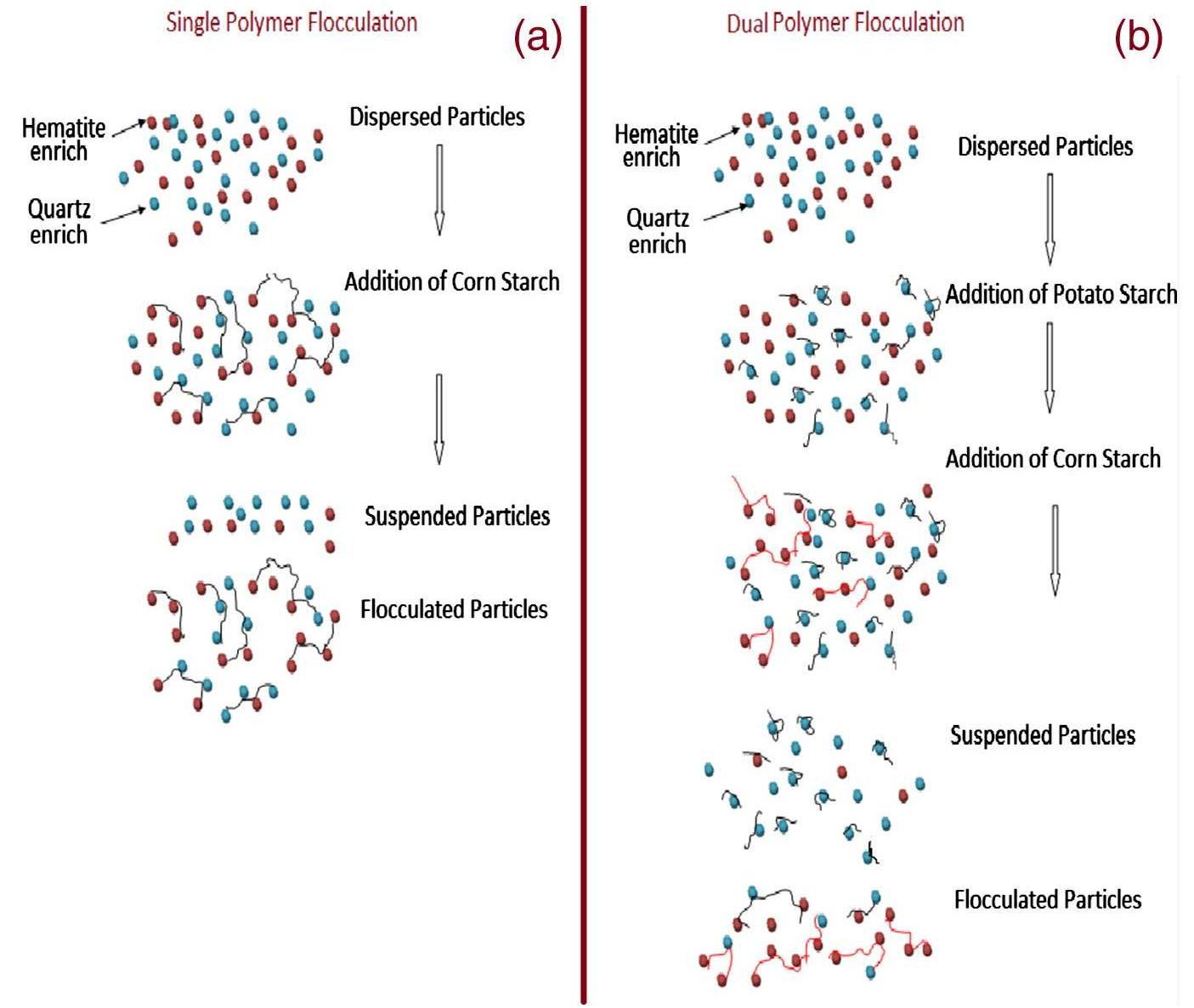 (PDF) Dual polymer flocculation