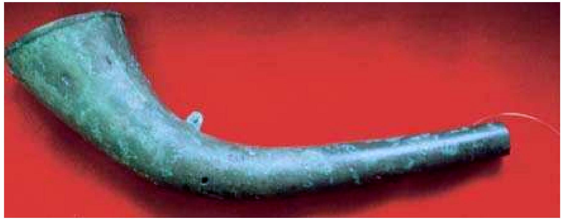 (PDF) [with A. Tamboer] Celtic bugle, Roman lituus or Medieval ban horn ...