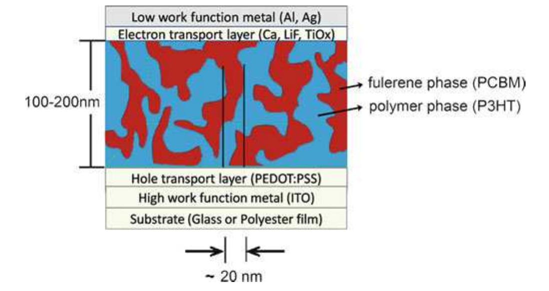 10 schematic structure of a typical organic solar cell
