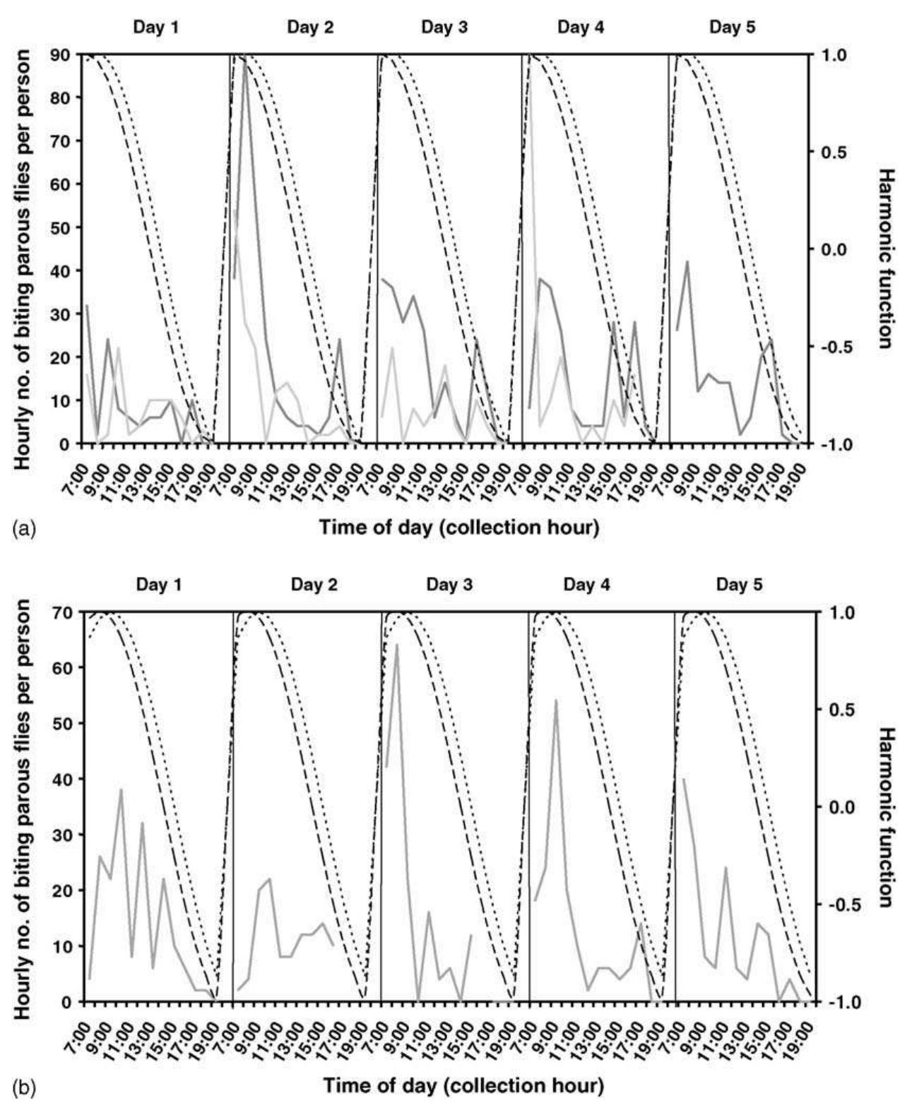 Fig. 4. Time series of the hourly number of host-seeking parous S. incrustatum flies (solid grey lines on left axis) for each of the collection days in a sampling period, and amplitude of harmonic function(s) (broken lines on right axis) that best explain variation in parous fly density at (a) Pashopeka-theri, rainy-dry transition; September 1997: dark grey and September 1998: light grey; harmonic function peaks =07:00 (dashed line) and 08:00 (dotted line); (b) Pashopeka-theri, dry season (November 1998); harmonic function peaks = 08:00 (dashed line) and 09:00 (dotted line); (c) Awei-theri, rainy season (July 1997); harmonic function peaks = 12:00 (dashed line), 13:00 (dotted line) and 14:00 (dot-dash line); (d): Awei-theri, rainy- dry transition (September 1998); harmonic function peaks = 09:00 (dashed line) and 10:00 (dotted line).  peaks (rs =0.60, n=60, P <0.01 for both 07:00 and 08:00 peaks, September 1997, and rs =0.40, n =48, P <0.01 for peak at 07:00, September 1998; Fig. 4a; rs =0.56, n=57, P <0.01 for both 08:00 and 09:00 peaks, November 1998; Fig. 4b). During these months rainy-dry and dry seasons), parous fly activity was negatively associated with air temperature (rg = —0.35, n=60, P <0.01) and positively associated with rela- tive humidity (rg =0.27, n=60, P <0.05) (upper panel   in Fig. 3a). This was particularly true in September  1997, w  hen high temperatures (>30°C) and low hu-  midity (<60%) values were reached during midday and early afternoon. However, in January 1997 and May  2001, w  hen early moming temperatures were as low  as 23-24 °C, and relative humidity as high as 94%, the biting peak shifted towards midday (data not shown).  In fact,  biting activity was occasionally significantly  explained by changes in air temperature and relative 