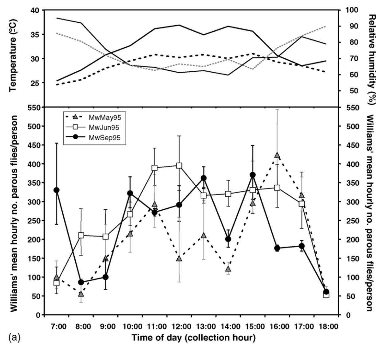 ‘ig. 5. Lower panels: Williams’ mean-hourly number of parous flies per person (P;) + 95% confidence intervals vs. time of day (collection hour or Simulium oyapockense s.l. in the Yanomami localities of (a) Maweti-theri (Mw) in the rainy seasons of May (grey triangles and broken line nd June (white squares and thin solid line), and the rainy-dry transition of September (black circles and thick line) 1995; (b) Mahekoto-ther Mh) in the dry season of February 1997 (grey diamonds and broken line); the dry-rainy transition of April 1999 (white circles and black thit ine), and the rainy-dry transition of September 1997 (black circles and thick line on the right hand scale of 0-200); (c) Hasupiwei-theri (Hs n the dry season of February 1997 (white diamonds and black thin line); dry-rainy transition of April 1999 (black circles and thick line), anc ainy season of August 1997 (grey triangles and broken line); (d) Pashopeka-theri (Ps) and (e) Awei-theri (Aw) in the rainy-dry transition o eptember 1998 (black circles and thick line) and the dry seasons of November 1998 (white diamonds and thin black line) and February 200: grey diamonds and broken line). In (d) and (e) the data for September 1998 are plotted on the right hand scale of 0-100. In (d) the data fo Yovember 1998 are also plotted on the right axis. Upper panels: average-hourly temperatures (°C; thicker lines on left axis) and relative humidity %; thinner lines on right axis) for May (broken lines) and September (solid lines) 1995 in (a); February (broken lines) and September (soli: ines) 1997 in (b); August 1997 (broken lines) and A pril 1999 (solid lines) in (c); and September 1998 (solid lines) and February 2001 (broker ines) in (d) and (e).  Parous S. oyapockense s.l. displayed quite differ- ent biting patterns from those of S. guianense and S. incrustatum, with highly variable biting activity ac- cording to locality and sampling periods (Fig. 5). At Maweti-theri (Fig. 5a), parous flies showed a relatively constant activity throughout the day, perhaps more pro- nounced between 10:00 and 16:00h, but without any prominent peak being picked up by the harmonic anal- ysis. In January 1997, a more clearly bimodal pattern was observed, with an early moming peak (starting at 07:00h), and a second (minor) peak between 16:00 and 17:00h (data not shown). Similarly, a relatively   This species occurred mainly at Maweti-theri (with an average of up to 420 parous flies/person-hour in May 1995), followed by Mahekoto-theri (260 parous flies/person-hourin A pril 1999) and Hasupiwei- theri (140 parous flies/person-hour in April 1999) Fig. 5a-c, respectively). In Pashopeka- and Awei-theri this species was less abundant but high parous fly densi- ties were seen during the dry season (February) of 2001 350 and 180 parous flies/person-hour in, respectively, Pashopeka- and Awei-theri).  
