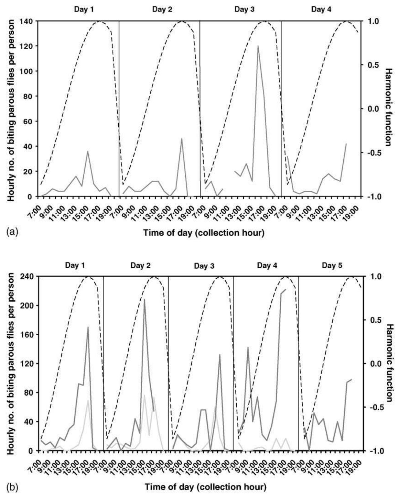 Fig. 6. Time series of the hourly number of parous S. oyapockense s.l. flies caught on human host (solid lines on left axis) for each of the collection days in a sampling period, and amplitude of harmonic function(s) (broken lines on right axis) that best explain variation in parous fly density variation at (a): Pashopeka-theri, rainy- dry transition (September 1998); harmonic function peak = 17:00 (dashed line); (b): Awei-theri, rainy-dry transition (September 1998: light grey) and dry season (November 1998: dark grey); harmonic function peak =17:00 (dashed line). 