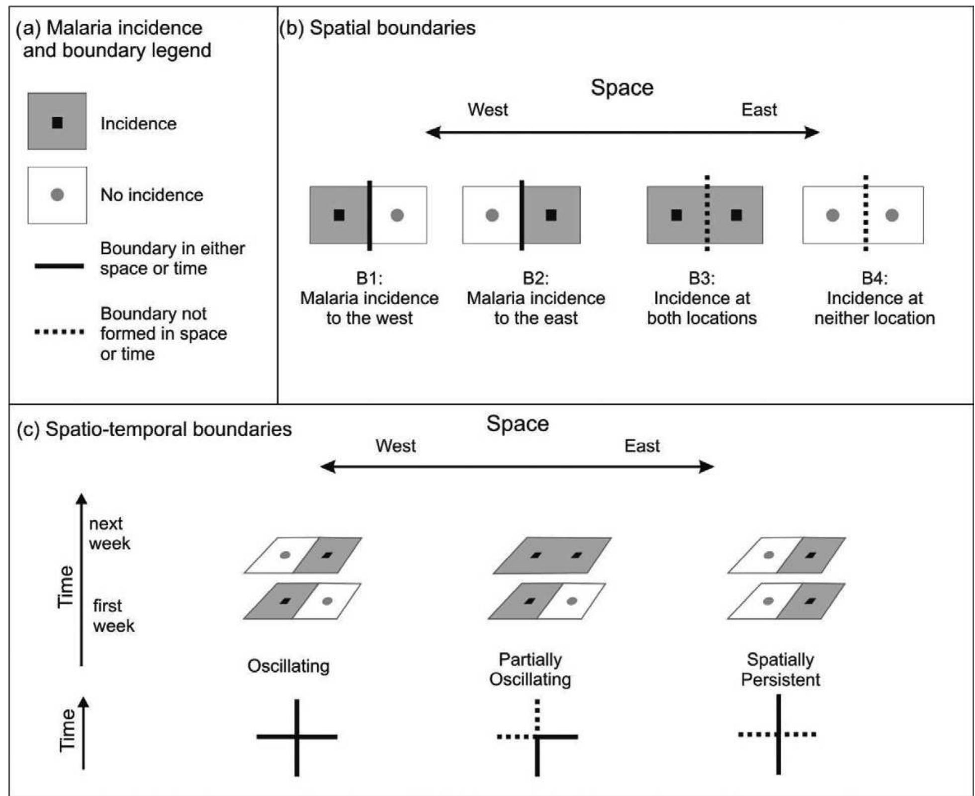 Fig. 1. Schematic illustration of boundary definition and the State Transition Index (after Jordan, 2002) showing how: (a, b) adjacent locations can have different types of boundaries in space and (c) state transition types can be detected through time.  M--E. Grillet et al./Spatial and Spatio-temporal Epidemiology 1 (2010) 251-259 
