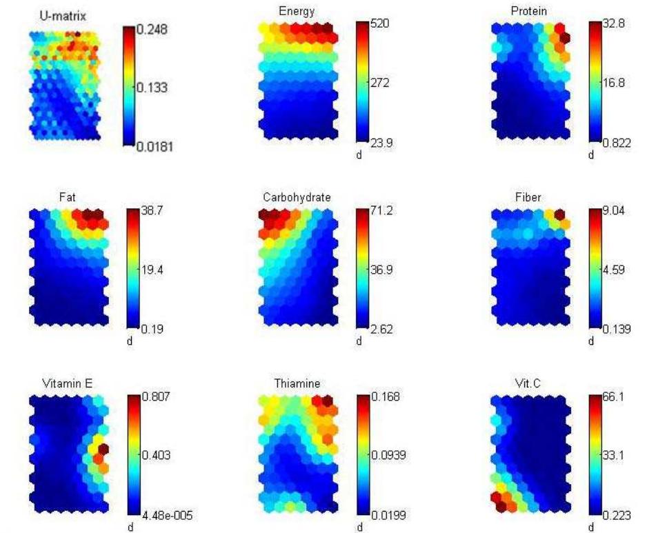 Visualization of the som of nutritive values for thai food
