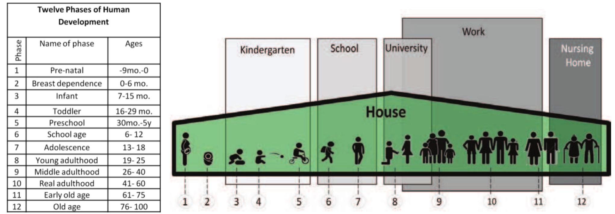 Comparing the coverage of human development phases by