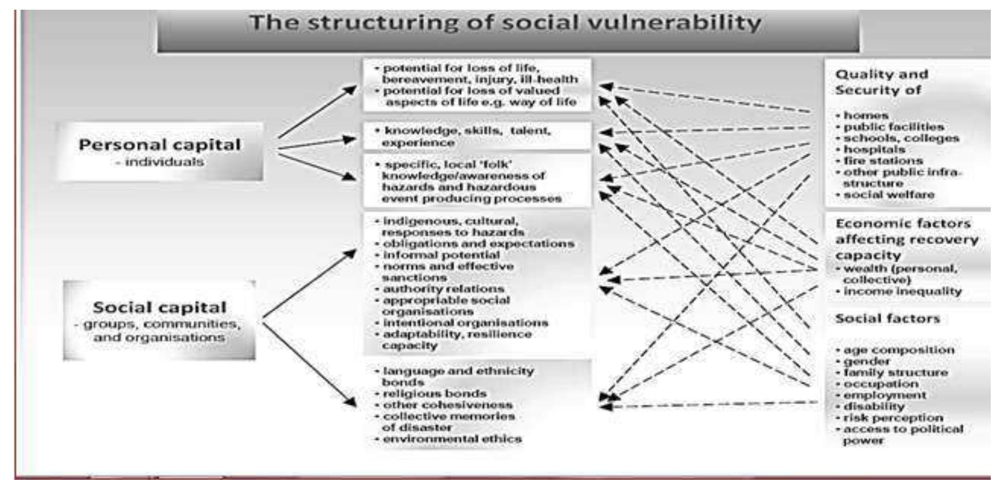 (PDF) The Concept of Social Vulnerability: A Review from Disasters ...