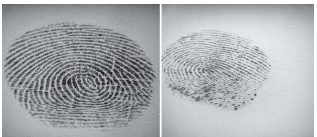 ADAPTIVE FINGERPRINT IMAGE ENHANCEMENT USING PROCESSING BLOCKS﻿