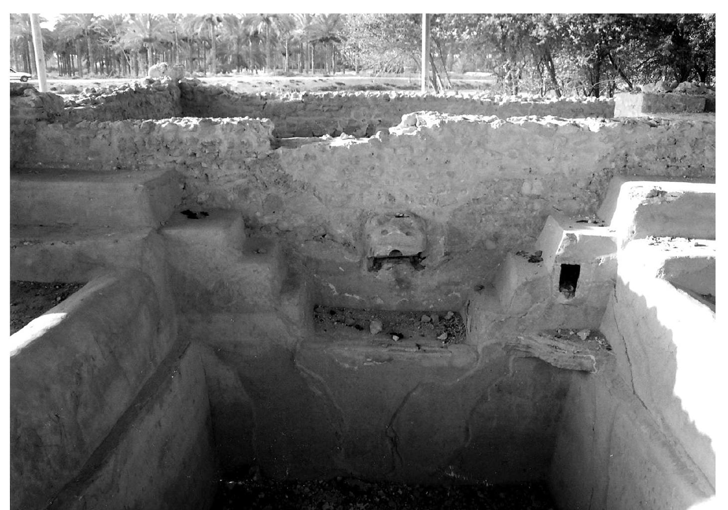 Fig. 7. Winery at Marea, view of the northern face of the wall which separates the tread- ing floor Vénos) in the upper part of the winery from the vat (pithos) located in the lower part. In the centre one can see the damaged lion-head spout of the main channel leading from the nos. To the right is an opening of the channel from the mechanical press area. In the foreground there is the southern wall of the collection basin. The ledges on the eastern and western walls most probably served for mounting a cover on the basin. 