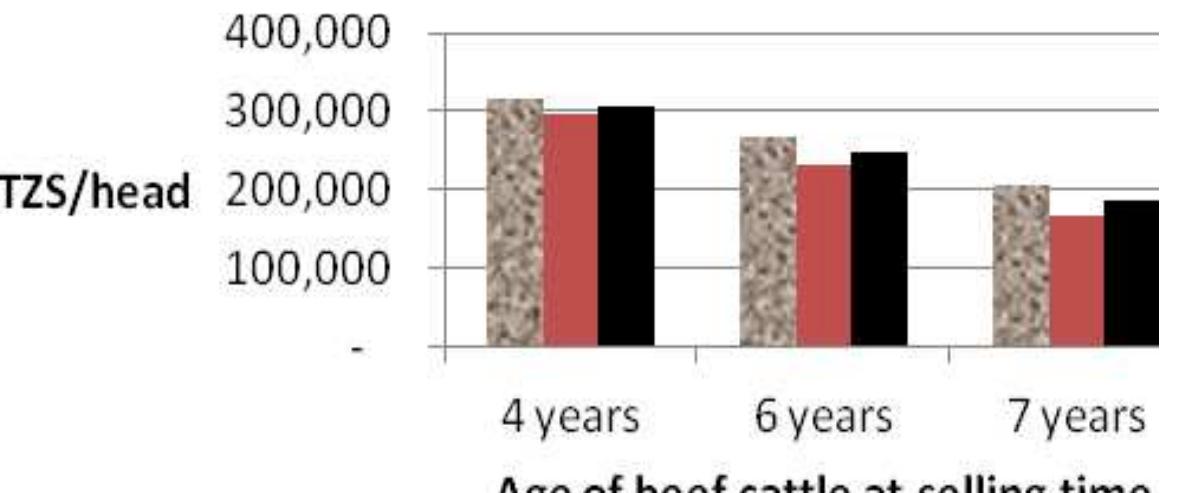 Figure 4 - Value chain of indigenous cattle and beef