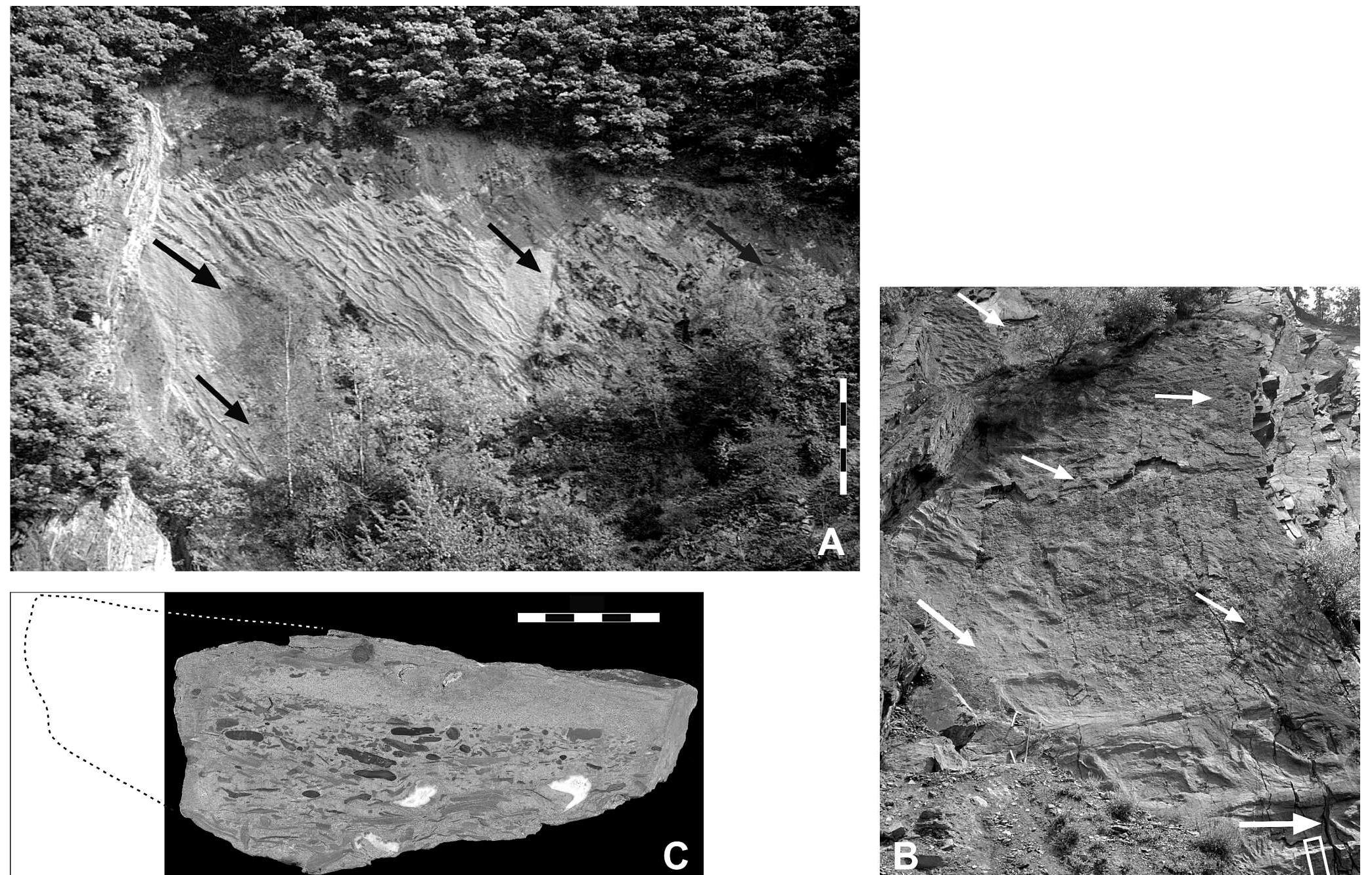 (PDF) Paleoenvironment of an Early Devonian land-sea transition: a case ...