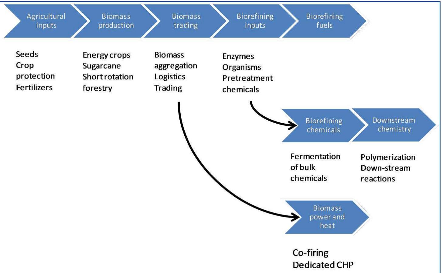 Figure 11 - from Bio-based Chemicals: Value Added Products