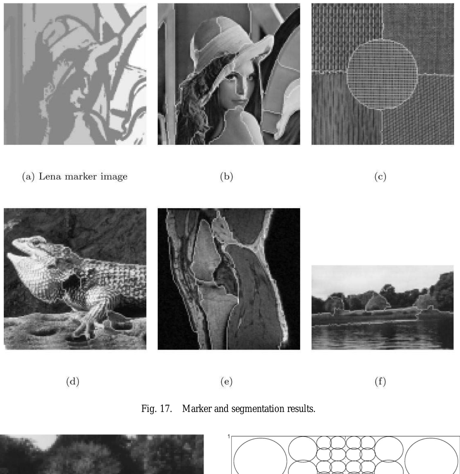 Figure 19 - Image segmentation using a texture gradient