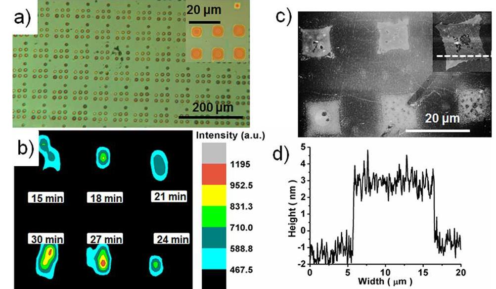 Peg Array (a) raman spectrum of 1 on a sio, surface. (b) raman